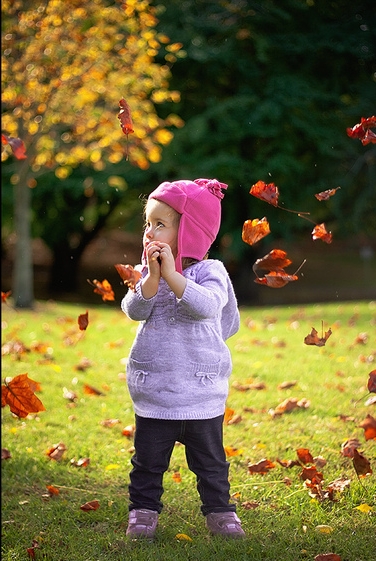 leaf shower1a